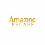 Amazing Escape Profile Picture