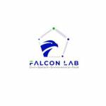 Falcon Industrial Testing Laboratory profile picture