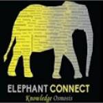 Elephant Connect Profile Picture