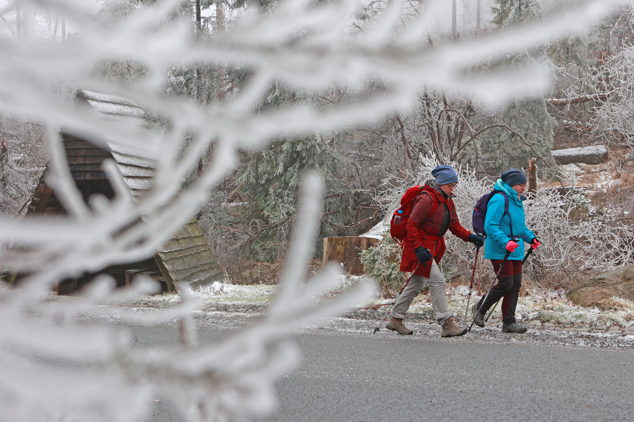 Turbulentes Sachsen-Wetter: Erst kommen Schnee und Frost, dann macht das Thermometer einen Sprung