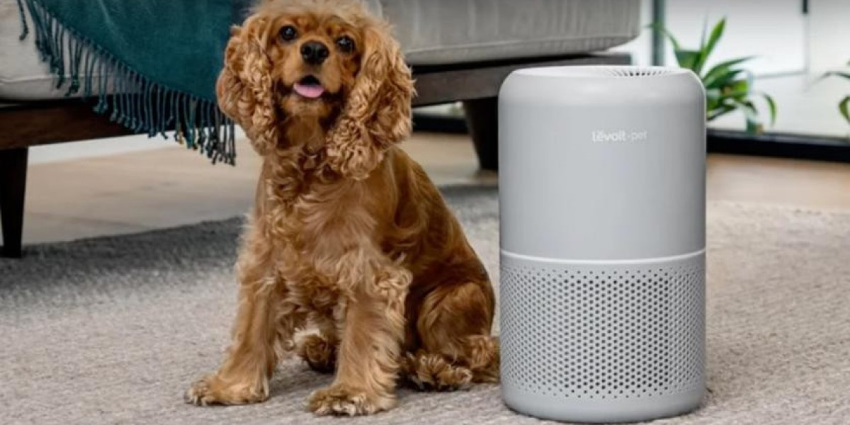 Top Air Purifiers for Pet Hair: Breathe Easy in a Pet-Friendly Home