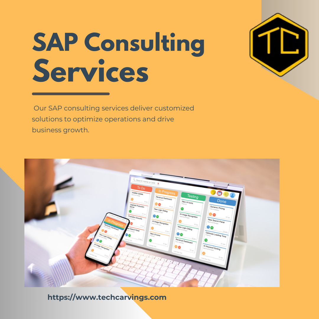 Techcarvings SAP Consulting Service Profile Picture