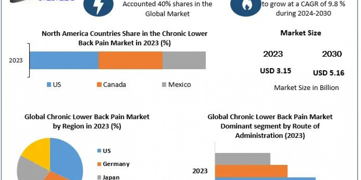 Chronic Lower Back Pain Market Analysis, Research Report, Growth And Forecast  2030