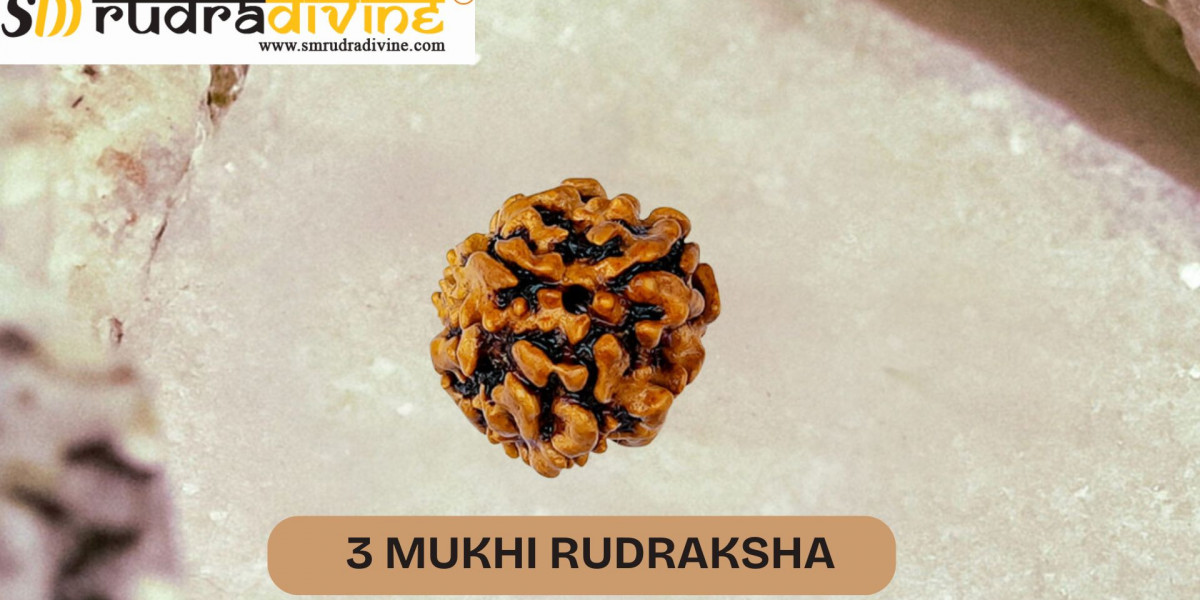 Who Should Wear the 3 Mukhi Rudraksha?