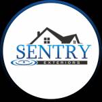 Sentry Cville Profile Picture