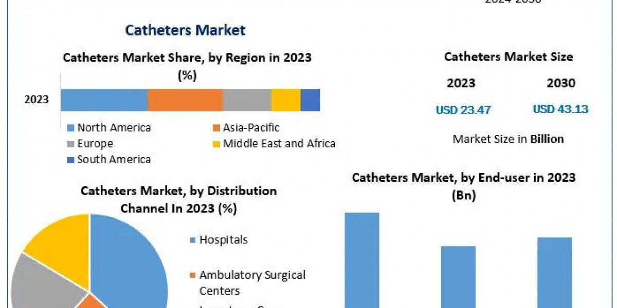 Catheters Market Share, Size, Top Manufacturers And Forecast  2030