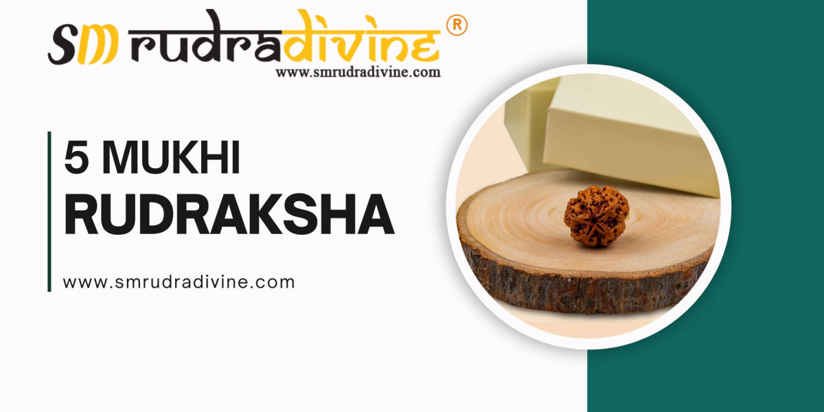 Who Should Wear 5 Mukhi Rudraksha and Why?