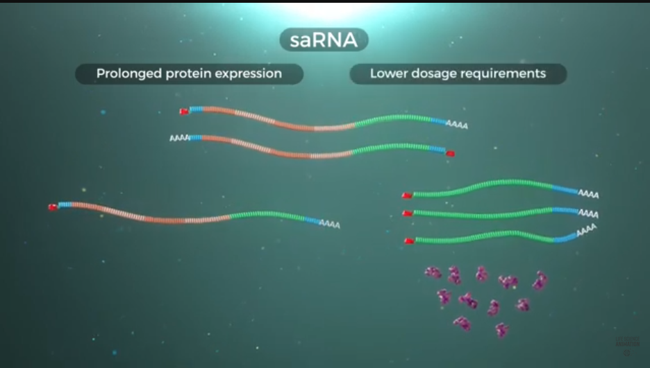 EU-Kommission gibt Zulassung für gefährliche experimentelle Corona-Replikon-mRNA-Injektionen