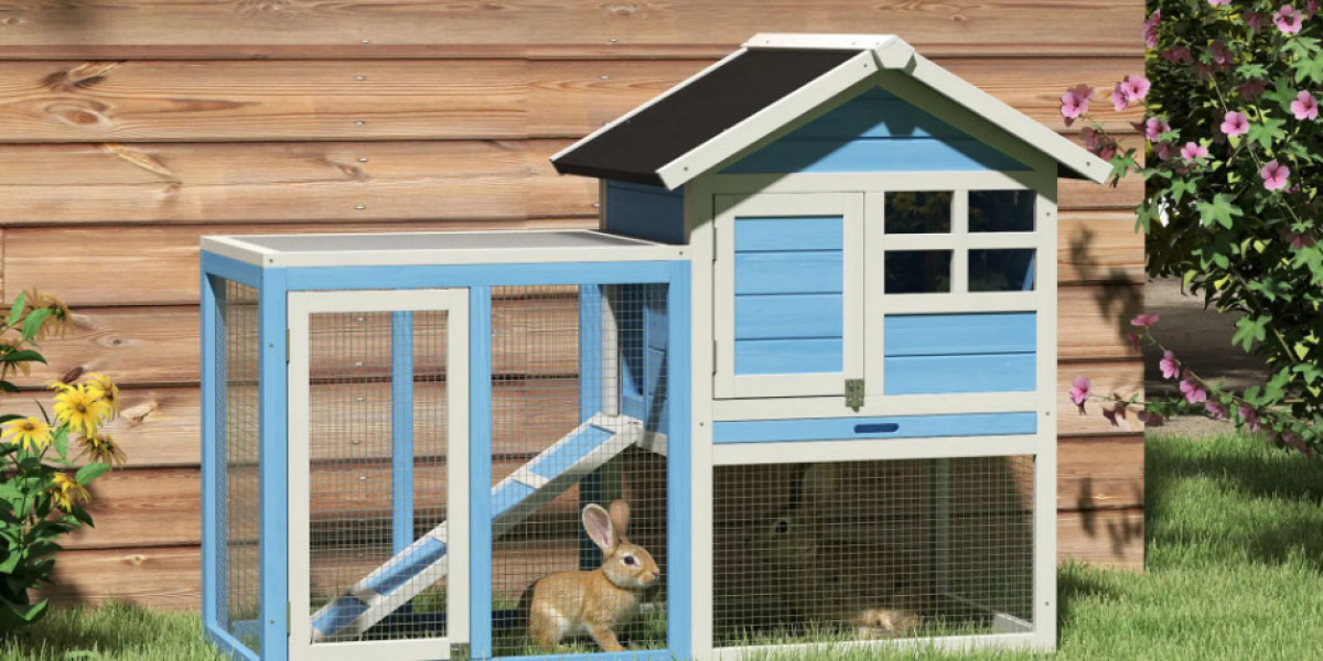 Outdoor Rabbit Enclosures: The Best Setups for Safety and Comfort