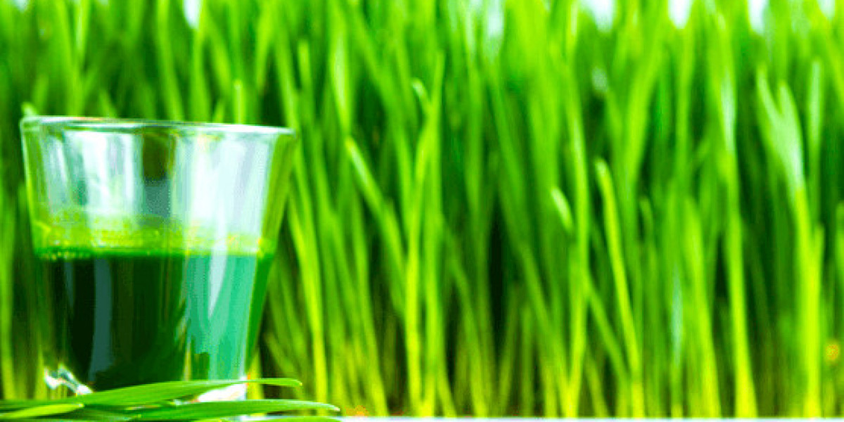 Wheatgrass Products Market Size, Analyzing Innovations, Trends, Analysis, 2032