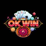 Okwin game Profile Picture