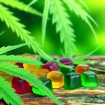 NewAgeHempGummies NewAgeHempGummies Profile Picture