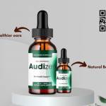 Audizen Offer Profile Picture