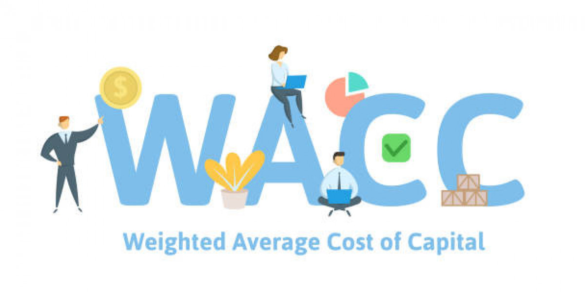 WCAG Experts: Driving Web Accessibility to New Heights