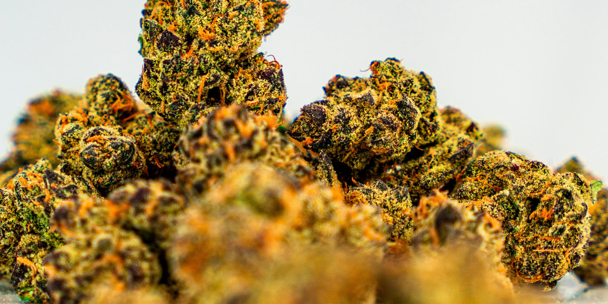 Discovering Popular Medical Marijuana Strains at Dispensaries Around Me