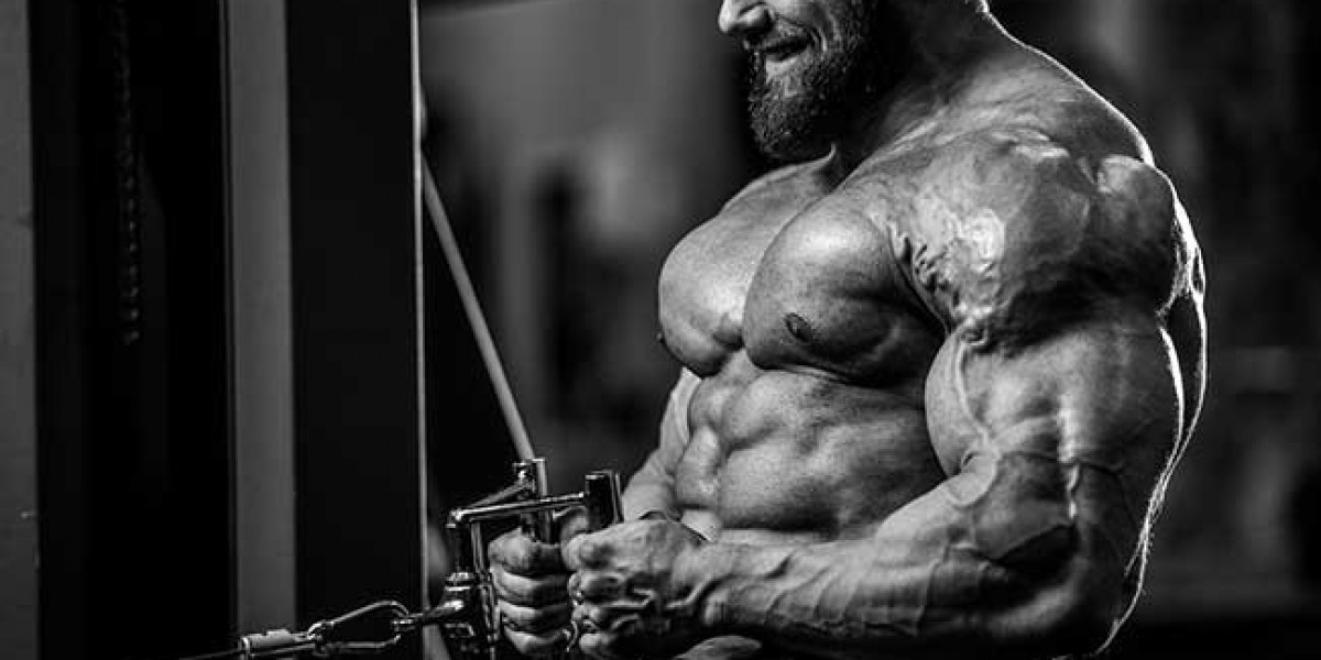 De basisprincipes van Anabolen Kopen onthuld