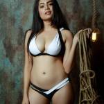 negro craussere Profile Picture