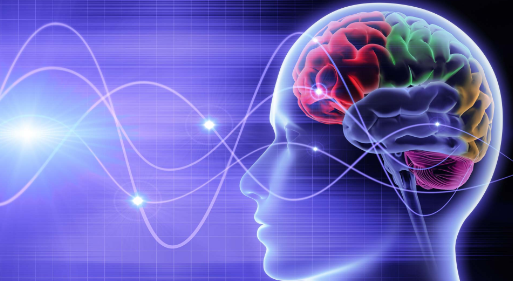 Brain Song – Hiệp Hội Nhân Sự