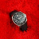 strapx pro Profile Picture