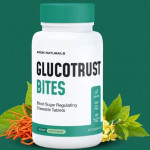 Glucotrst Bites Profile Picture