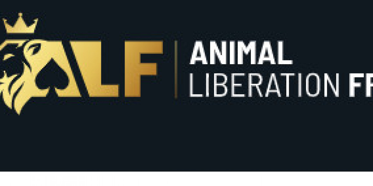 최고의 바카라사이트 2026 – 공정한 게임 환경과 라이브 바카라의 핵심 가치