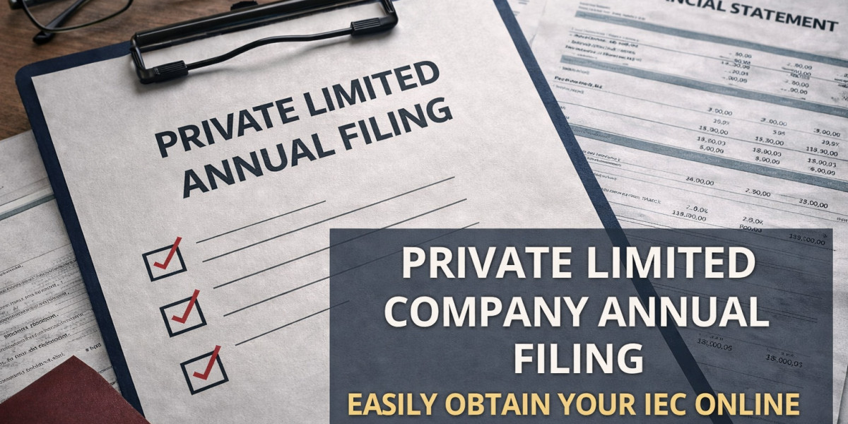Private Limited Company Annual Filing in India: Complete Compliance Guide for Businesses