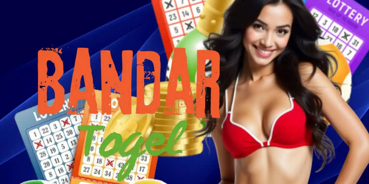 Dewa Live: Real-Time Results and Trusted Toto Insights