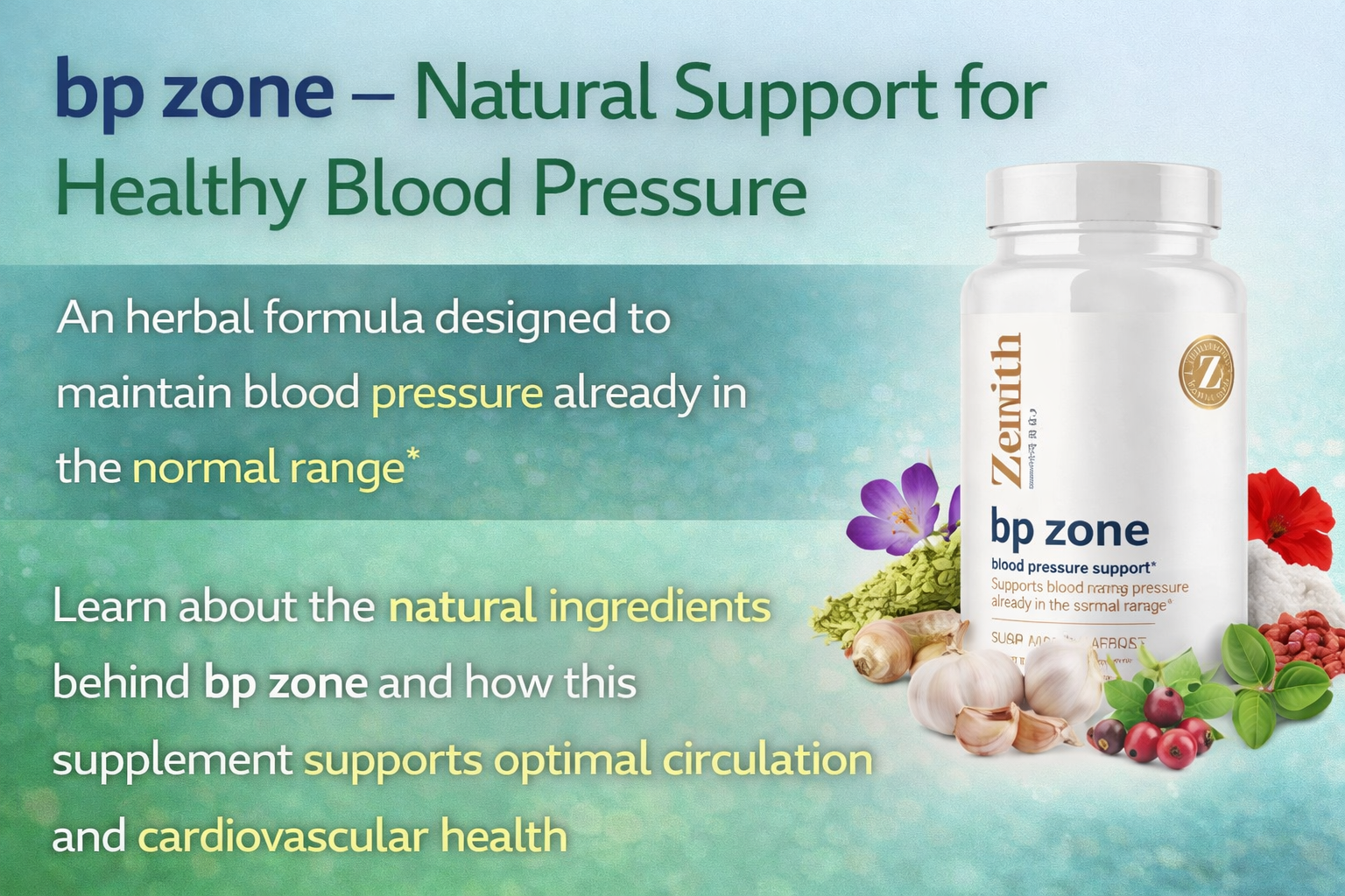 BP Zone Review 2026: Gentle, Safe Blood Pressure Support