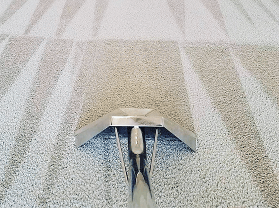 Carpet Cleaning Becontree Heath RM8 | 21 000+ Reviews