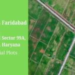 Neoliv Plots Faridabad Profile Picture