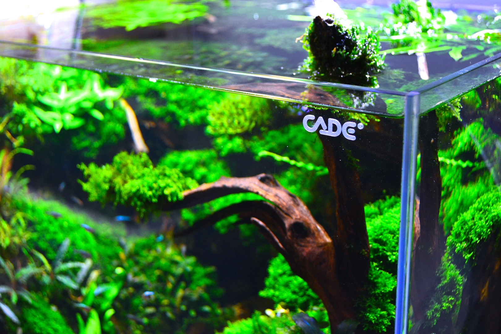 Burn Slim Weight Loss | Profile