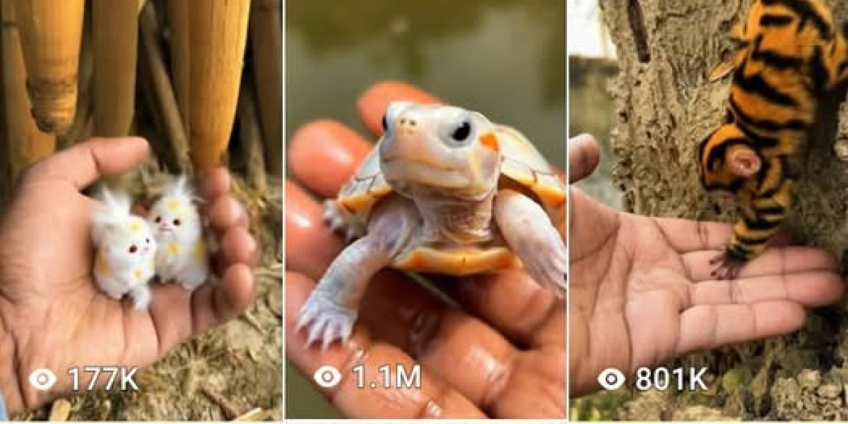 Another advantage of professional RTI payroll services