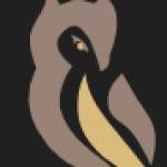 Nocturnal legal Profile Picture