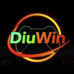 Diuwin game profile picture