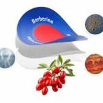 Jonathan Talbot Profile Picture