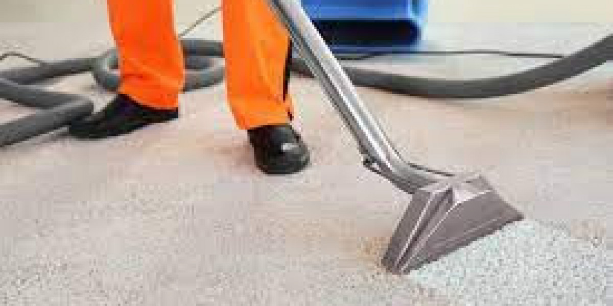 How Carpet Cleaning Services Improve Overall Home Standards