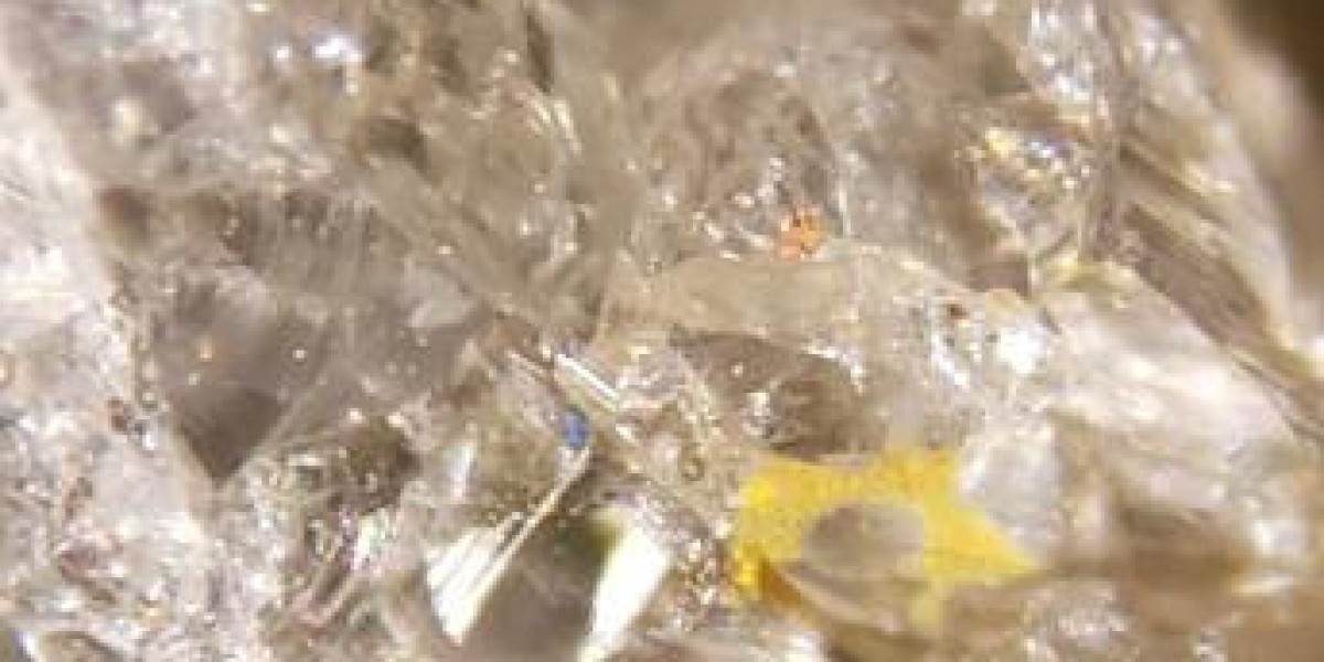 NBABite and the Changing Habits of NBA Fans in the Digital Age