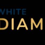 white dental Profile Picture