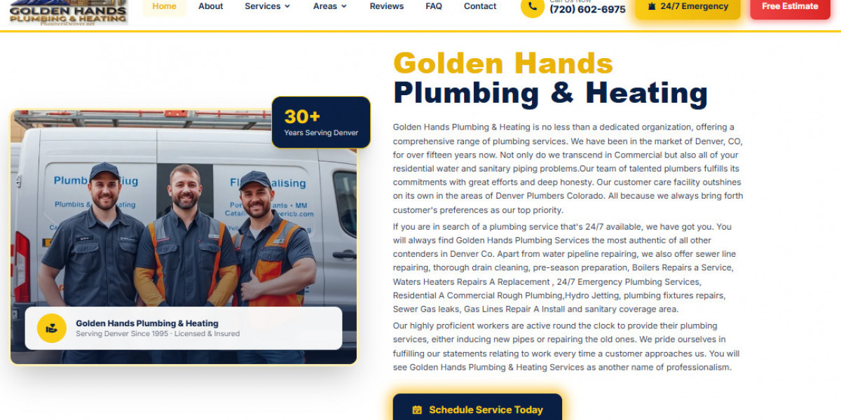 Experienced Plumbers Denver Offering 24/7 Support