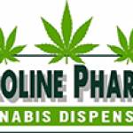 caroline pharma Profile Picture